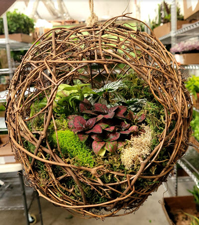 Grapevine Hanging Ball with Plants